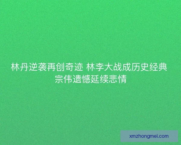 林丹逆袭再创奇迹 林李大战成历史经典 宗伟遗憾延续悲情